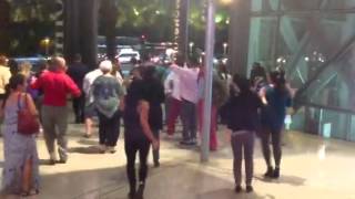 LV 142 flash mob