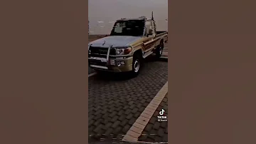 يا العين قسامي من قالت يا العين قسامي يالعين قسامي شاص معدي فوق الرصيف 