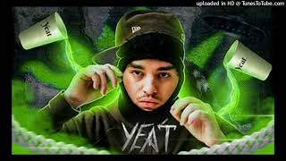 Celebrity Yeat - I Aint Try BASS BOOSTED Net Worth