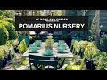 🌿 Pomarius Nursery Tour in Portland Oregon // Garden Center Tour // Coast to Coast Home and Garden 🌱