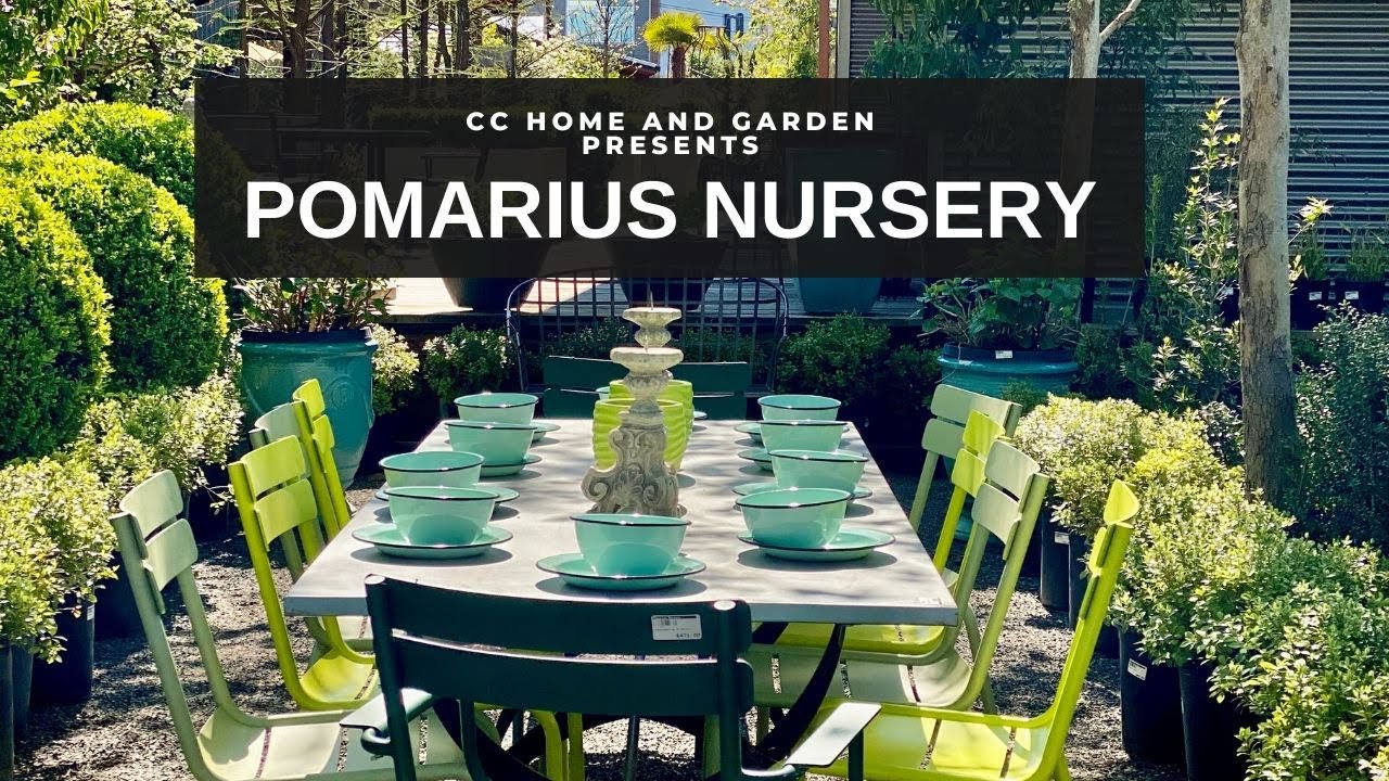 🌿 Pomarius Nursery Tour in Portland Oregon // Garden Center Tour