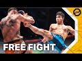 Lengl vs torres  free fight  oktagon 54 tipsport gamechanger 2