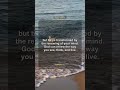 Romans 12:2 | Bible Verse #shorts