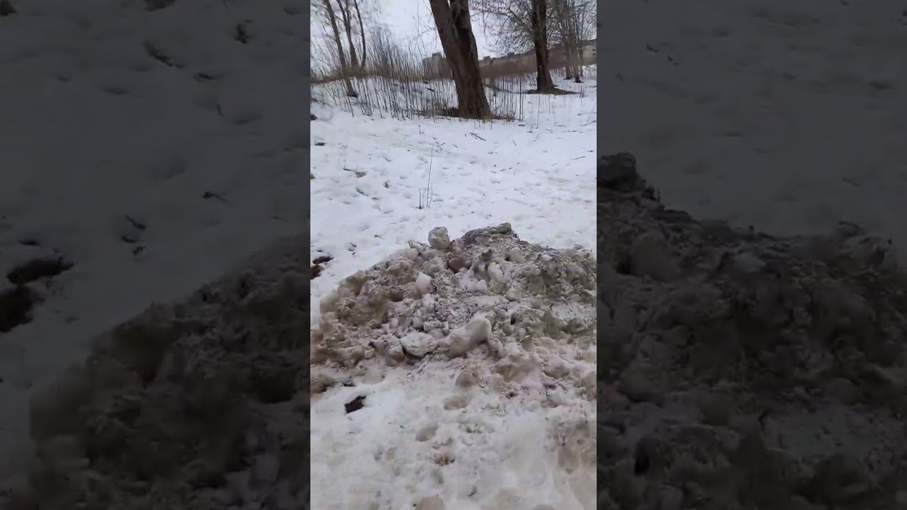 3 марта 2026 г.иду и общаюсь с друзьями