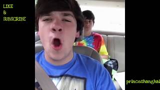 BEST OF THE BEST UNDERRATED VINES