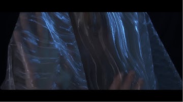 Brambles - Spirits (Official Video)