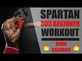 Day 1  30 minute at home strength workout   spartan killer workout series