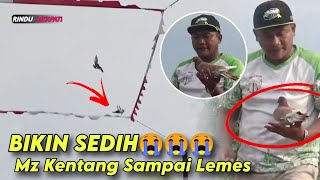 Kesedihan Mz Kentang Saat Merpatinya Nabrak Tali Kolong😱 Mobil New Ayla Pendowo Pemalang