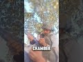 Why a Jammed Weapon Is Deadly