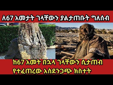 ቪዲዮ: ልዩ ቲ-ሸርት ለማድረግ 5 መንገዶች