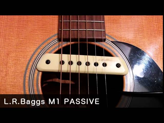 L.R. Baggs M1A/M1 Wood Cover Micro guitare acoustique