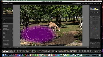 Lightroom Harsh Shadows FIx
