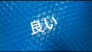 【2020】現代人のおとも！ハニカムゲルクッション・ハネナイト【卵割れないやつ】