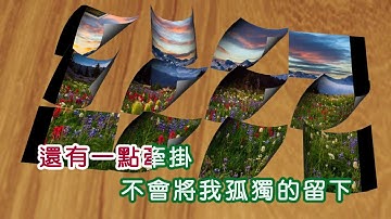 李碧華 ~ 牽引