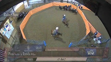 Big Sky Ranch Sorting Saddle Series #2 - #3 - Round #2 - Ride #2