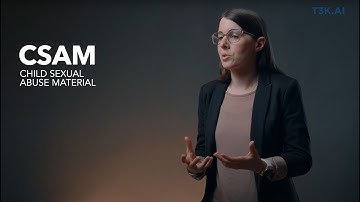 CSAM Detection for Private Businesses