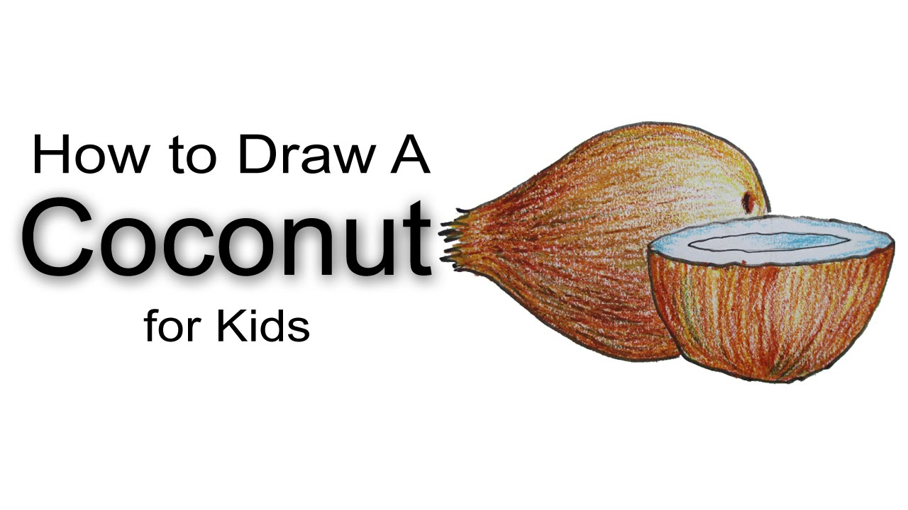  How To Draw A Coconut of the decade Don t miss out 