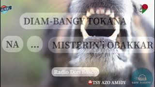 DIAM-BANGY TOKANA : Tantara gasy vaovao (RDB) #gasyrakoto
