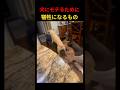 犬にモテるために犠牲になるものｗｗ #short