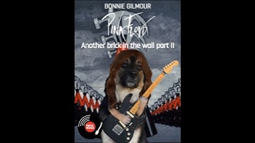 PINK FLOYD - Another brick in the wall part II
