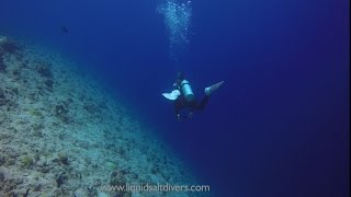 Drifting In The Maldives