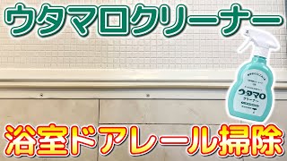 【必見】インスタグラムで人気のウタマロクリーナーでお風呂のドアレールを掃除してみた！