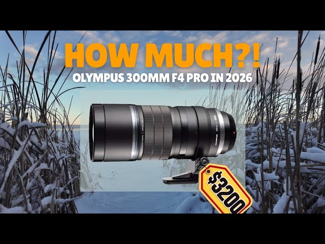 Is This 10 Year Old Lens Still Good?? | OM/Olympus 300mm f4 PRO