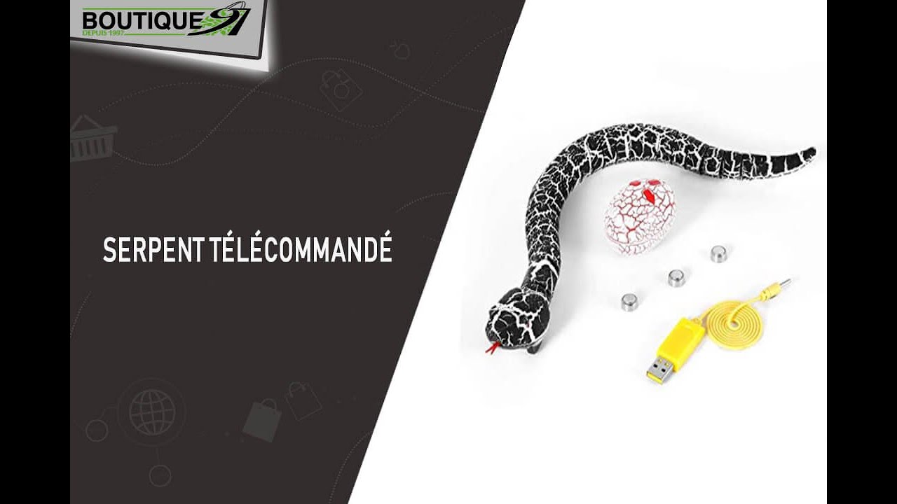 Serpent télécommandé, l'offre parfaite pour ses blagues 