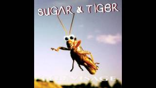 Video thumbnail of "Sugar & Tiger - Hôtel Raphaël"