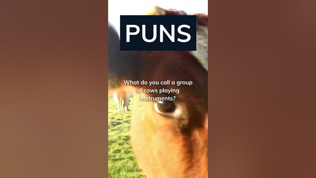 Animal #puns meets #music! #Jokes #comedy #funnyvideo #funnyshorts #funny #laugh #lol #humor #cute Animal #puns meets #music! #Jokes #comedy #funnyvideo #funnyshorts #funny #laugh #lol #humor #cute