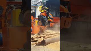 Harvetser head #highquality #forestrymachine