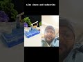 #dcmotor #dcmotorproject #duet #funny #reaction #woodworking #diy #youtubeshorts #wood #workout