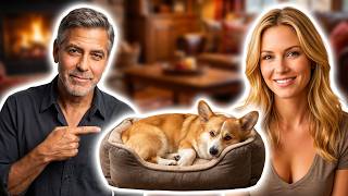 Your Dog Deserves This Orthopedic Bed With Bolster ! Your Dog Deserves This Orthopedic Bed With Bolster !
