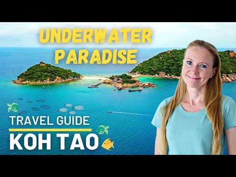 Koh Tao, Thailand (ultimate travel guide) 🐠🌴😊