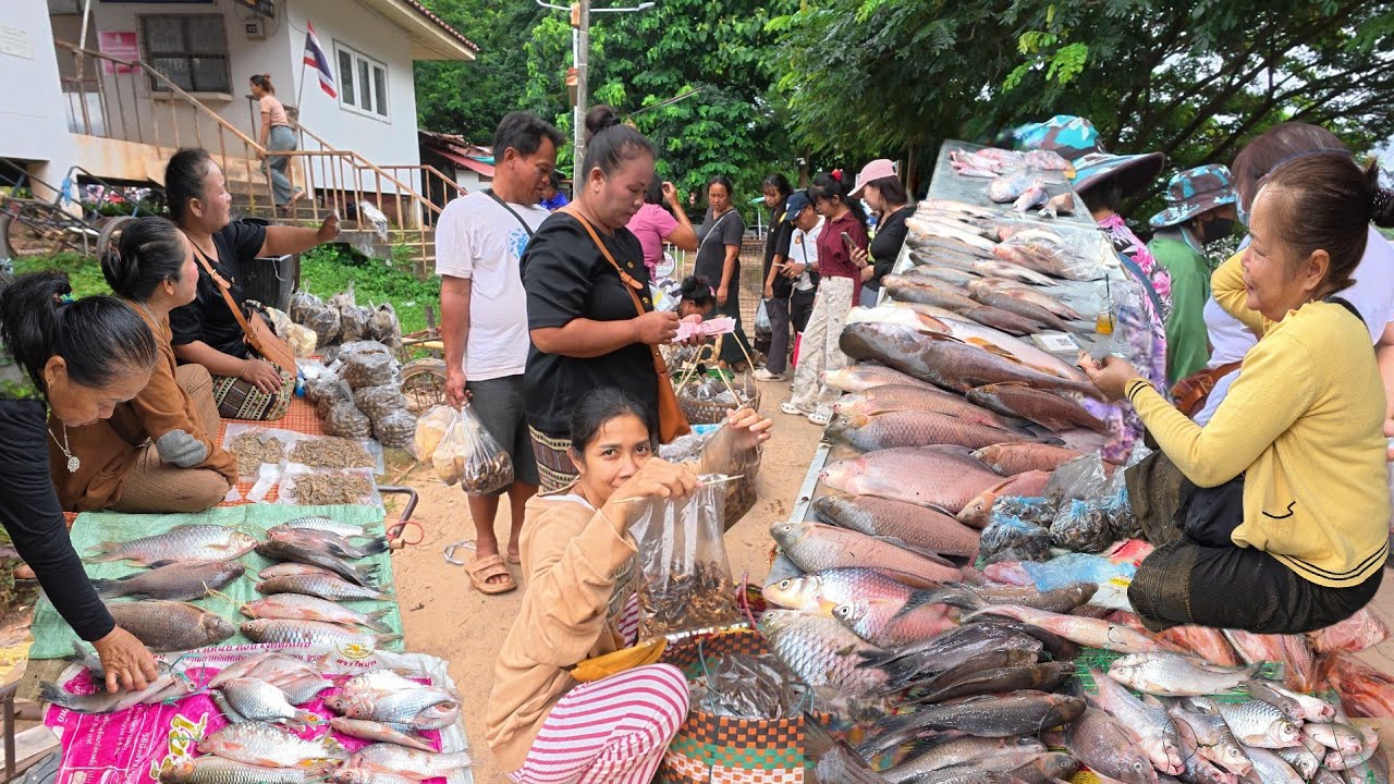 จิโป่ม จิหล่อ ปลาโขง ตลาดนัดไทย-ลาว โขงเจียม อุบลราชธานี