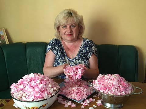Варенье из лепестков роз – рецепт приготовления