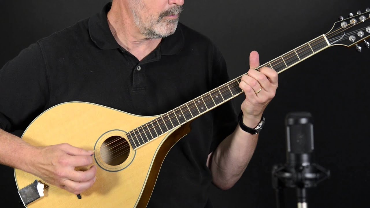 Trinity College TM375 Bouzouki Elderly Instruments YouTube