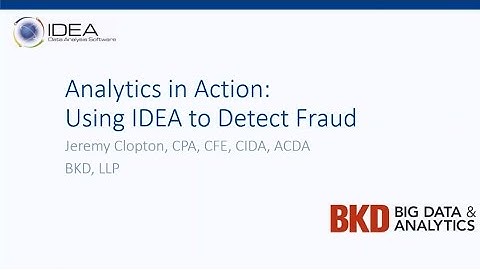 Analytics in Action: Using IDEA to Detect Fraud