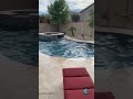 Golden Retriever and the Pool