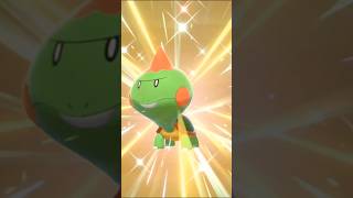 Pokemon SWSH - Shiny Chewtle  ✨ #pokemon #pokemonswordandshield  #pokemonshinyhunting #pokemonlatam