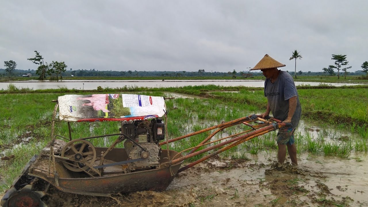 tulong tulong Ang pamilya sa paghahanda Ng palayan #second passing land preparetion#ricefield