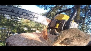 INSANE PRO MAC 10 10, 70 FOOT TOP, TIMBER EATING DOLMAR