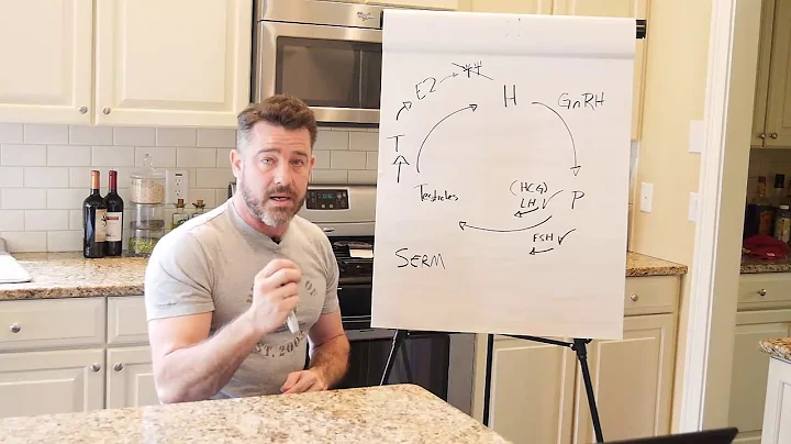 HCG or Clomid while on Testosterone and Fertility