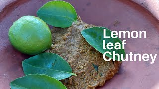 Lemon leaf chutney | instant chutney| Lemon leaves recipe | traditional way