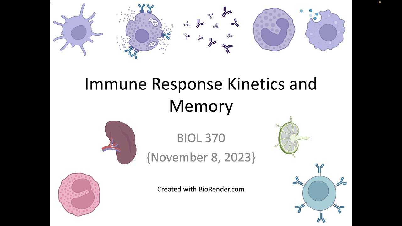 Immunology Fall 2023 Lecture 25 Immune Response and Memory