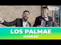 Los Palmae - Hawaii | Cumbia Tube Santafesina