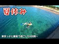 東京っ子を離島で9日間預かることになりました。