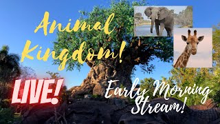 LIVE: Disney’s Animal Kingdom | Disney World Live Stream | 10/24/2021