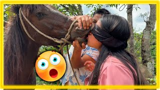 Beso del caballo broma real