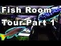 Fish Room Tour 2021 Part 1: So Many Cool Fish!